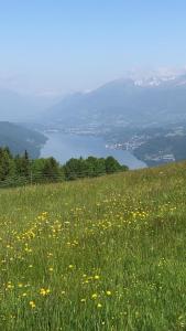 Pension Barzaunerhof