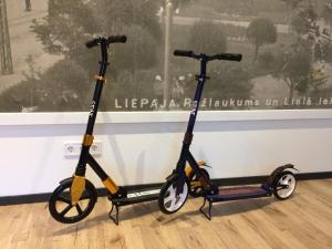 Simple & Elegant Apartment