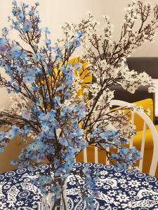 The Starry Night Apartment