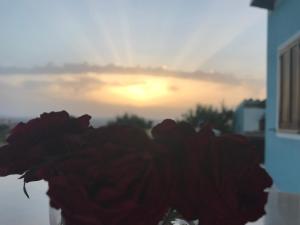 Agriturismo Sa Domo de s'Olia img2