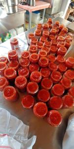 La Piana degli Ulivi