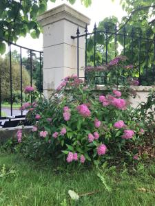 Maisons de vacances Gite Nature Loire et Chateaux 3* : photos des chambres