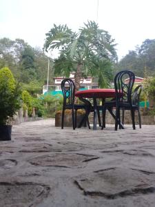 Jharna Homestay - Tabakoshi