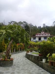 Jharna Homestay - Tabakoshi