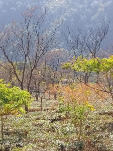 Jharna Homestay - Tabakoshi