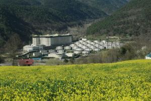 Sarot Thermal Vadi Tatil Koyu - Halal Hotel