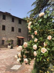 Agriturismo Beata Vanna