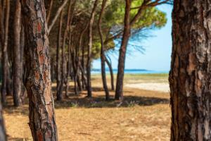 Corte Bianca - Adults Only & SPA - Bovis Hotels img77