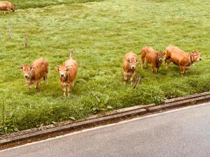 Casa Lixa Hotel Rural Albergue