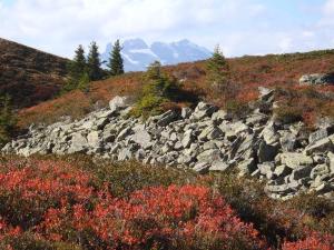 Rudigier Margret und Franz