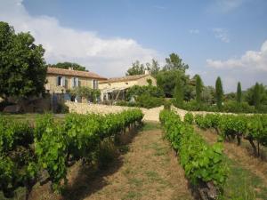 Maisons de vacances Countryhouse with Pool in Vaison la Romaine : photos des chambres