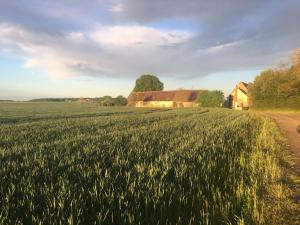 B&B / Chambres d'hotes Le Grand Coudreau : Suite Familiale