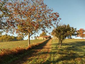 Maisons de vacances 17e century Holiday Home In the Forest Saint Caprais near Cahors s vineyard : photos des chambres