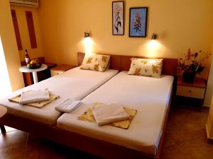 Double or Twin Room with Balcony room in Family Hotel Rosi