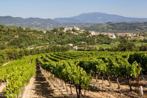 Maisons de vacances Les Mirabelles : photos des chambres