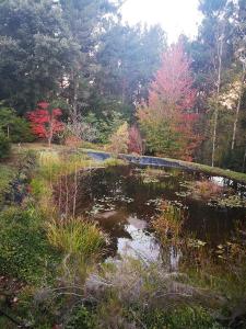 Windrush on Hogsback