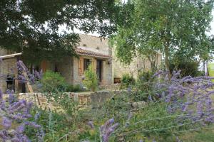 Maisons de vacances GITE DES CHOUETTES : Maison 1 Chambre