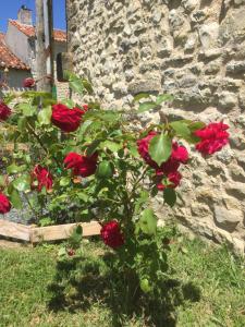 Maisons de vacances GITE DES CHOUETTES : photos des chambres