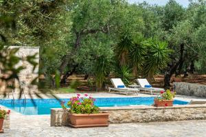 Olive Grove Villa Zakynthos Greece