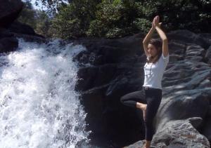 Dhanagiri Homestay Wayanad