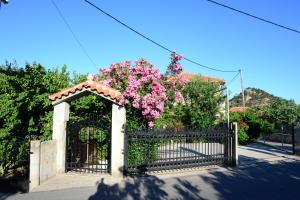 Marianna's Rooms Lesvos Greece