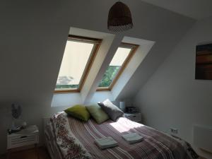 Apartament Kasztanowa