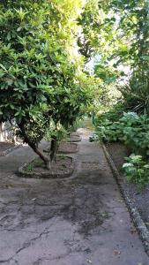 Casa Familiar do Porto