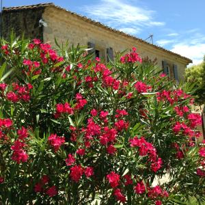 B&B / Chambres d'hotes La Fontaine des Oliviers : photos des chambres