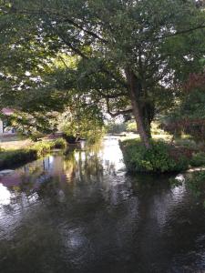 Maisons de vacances Au Moulin de Rotteleux : photos des chambres