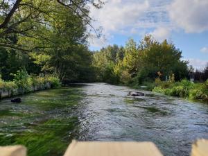 Maisons de vacances Au Moulin de Rotteleux : photos des chambres