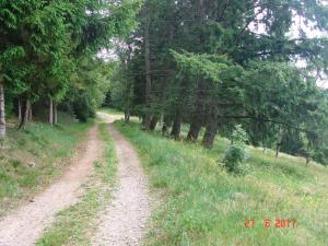 Maisons d'hotes Les o welches cote lac : Chambre Familiale - Vue sur Montagne