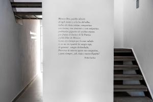 JUUB Colorful, Studio in New Polanco District (R1)