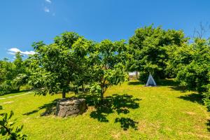 Casa de Campo - Olive House