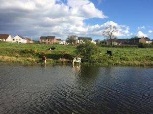 Cabană Twechar Kilsyth Marea Britanie