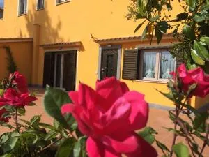 La Villetta Apartments - Castel Gandolfo