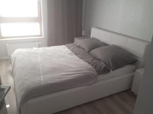 Apartament Nowa Letnica