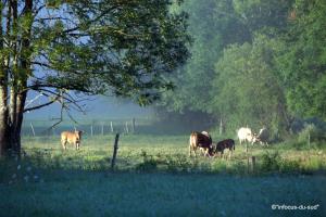 B&B / Chambres d'hotes Infocus-Du-Sud : photos des chambres