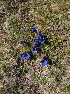 Haus Fürhapter Markus