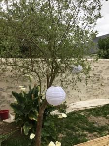 Chalets Chalet Camelia Bayeux centre-ville : photos des chambres