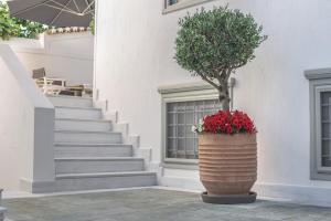 Zoe's Club Spetses Greece