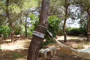 Agriturismo Francesca Stajano