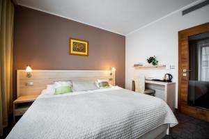 Double or Twin Room room in Hotel Mlynska