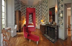 Château de Saint-Fargeau photo 12