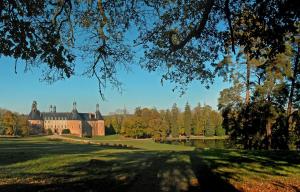 Château de Saint-Fargeau photo 9
