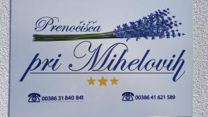 Guesthouse Pri Mihelovih 