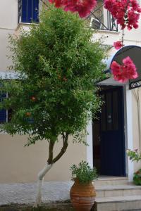 Anesis Village Studios and Apartments Lefkada Greece