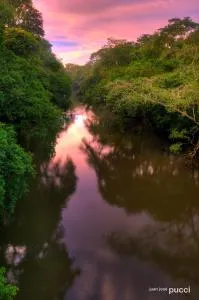 La Selva Biological Station - 萨拉皮基