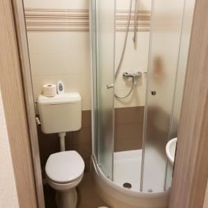 Studio with Terrace room in Apartments Maletic