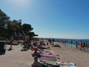 3 star apartment Apartment Toto in Tici Koper Slovenia