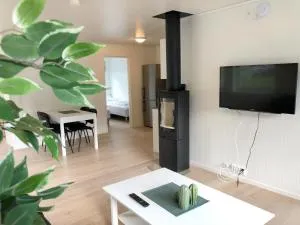 Saltvold Leilighet nr 2 - Roldal